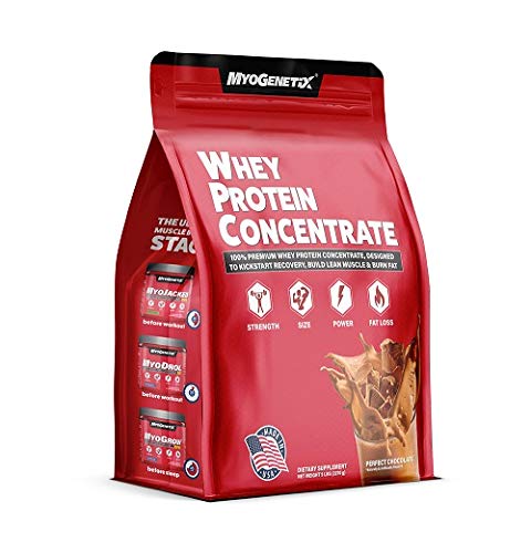 myogenetix whey protein concentrate