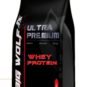 Best Whey Protein in India 2022